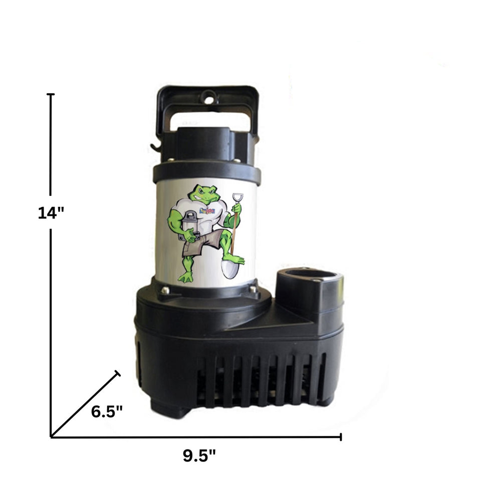 Anjon Big Frog Eco-Drive
