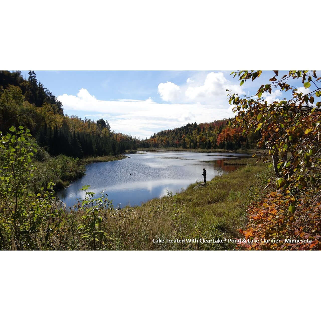 ProLake ClearLake Pond and Lake Water Clarifier - 24 lbs. 40.8105