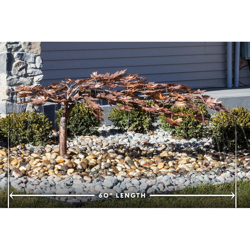 Blue Thumb Creeping Japanese Maple - Complete Kit ABCF500K
