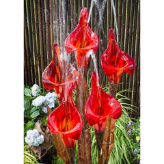 Blue Thumb Iris Flower- Complete Kit ABCF250K