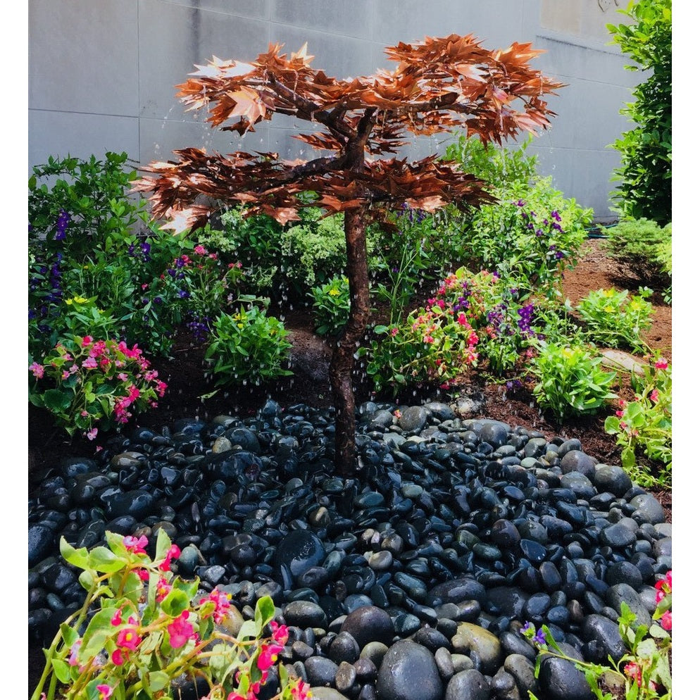 Blue Thumb Japanese Maple Tree - Complete Kit ABCF400K