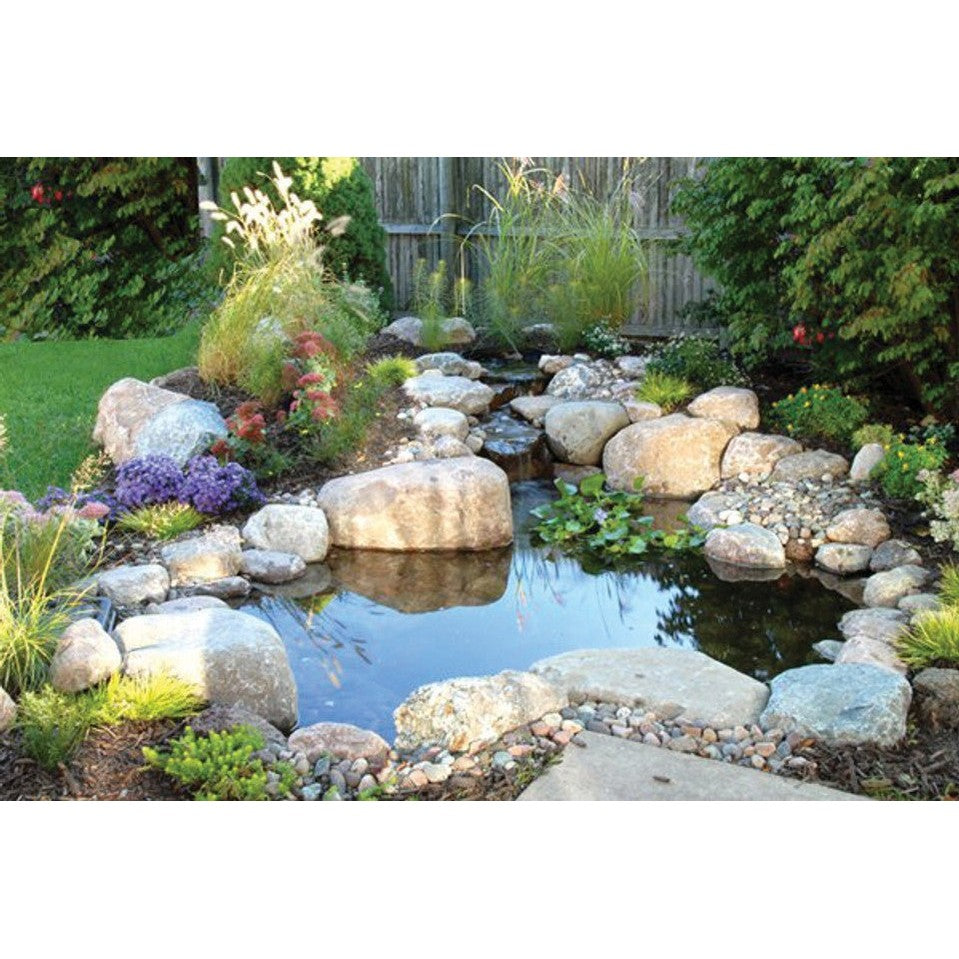 Blue Thumb Large DIY Pond Kit PB1335