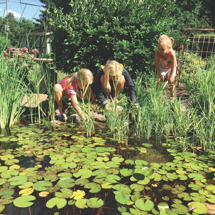 Blue Thumb Small DIY Pond Kit PB1212