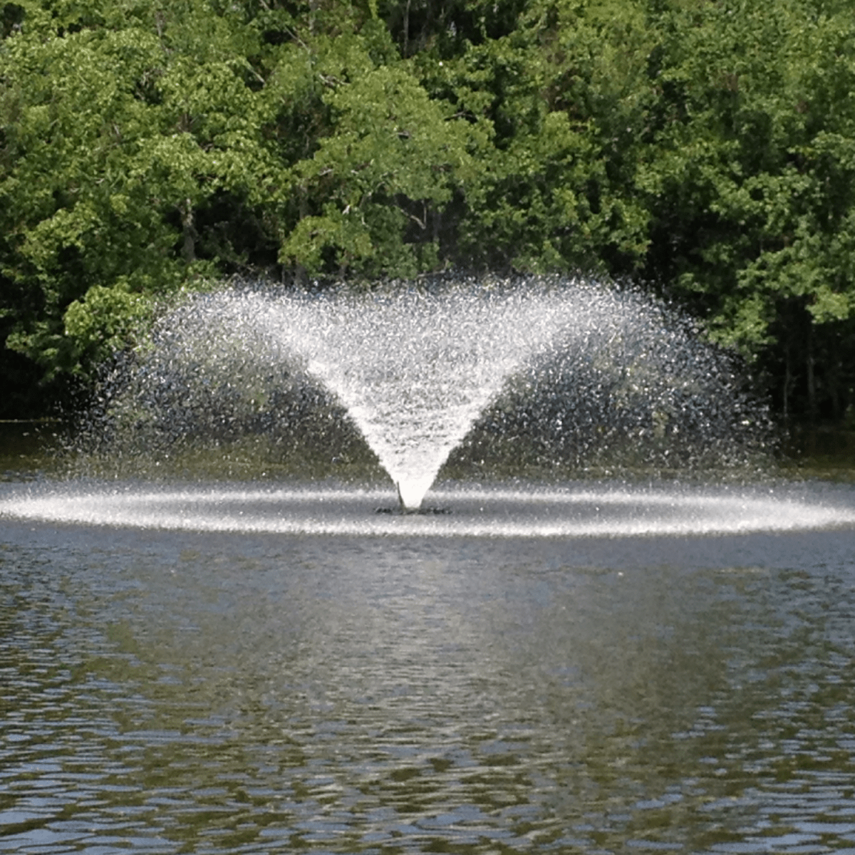 Kasco 4400HVFX 1 HP Kasco Display Fountain Pond Aerator - 240V