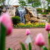 Aquascape: Engineering the Future of Water Features