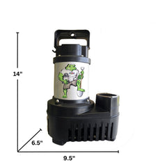 Anjon Big Frog Eco-Drive