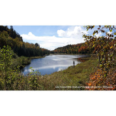 ProLake ClearLake Pond and Lake Water Clarifier - 24 lbs. 40.8105