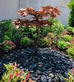 Blue Thumb Japanese Maple Tree - Complete Kit ABCF400K