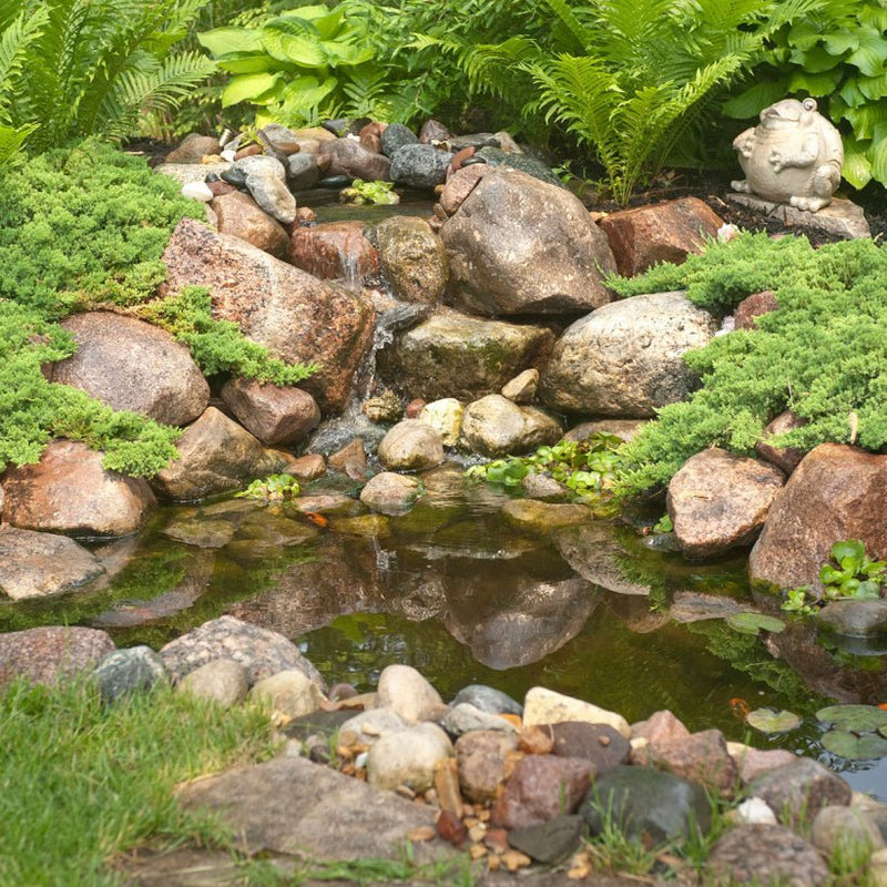 Aquascape DIY Backyard Pond Kits 99763