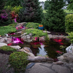 Aquascape Medium Deluxe Pond Kit 11′ X 16′ w/ AQUASURGE 2000-4000 Adjustable Flow Pond Pump 53066