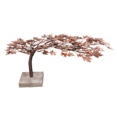 Blue Thumb Creeping Japanese Maple - Complete Kit ABCF500K