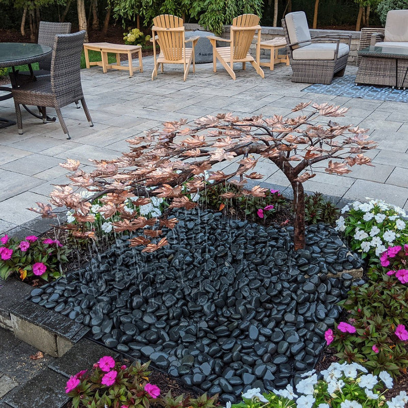Blue Thumb Creeping Japanese Maple - Complete Kit ABCF500K