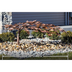 Blue Thumb Creeping Japanese Maple - Complete Kit ABCF500K