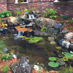 Blue Thumb Elite Pond Kits PB1250