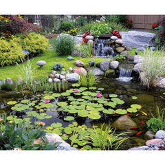 Blue Thumb Elite Pond Kits PB1250
