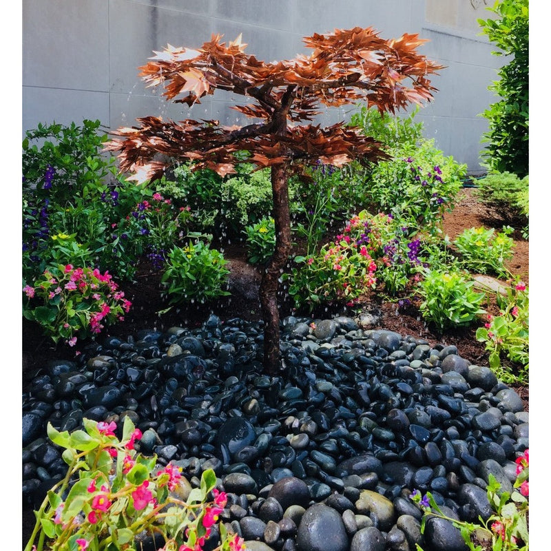 Blue Thumb Japanese Maple Tree - Complete Kit ABCF400K