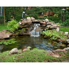 Blue Thumb Large DIY Pond Kit PB1335