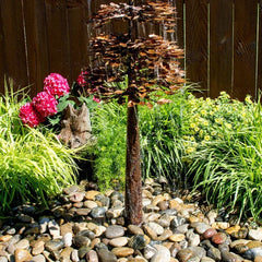 Blue Thumb Sequoia Tree- Complete Kit ABCF300K