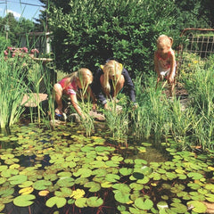 Blue Thumb Small DIY Pond Kit PB1212