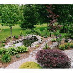 Blue Thumb Small DIY Pond Kit PB1212