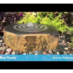 Blue Thumb Suwaru Fountain Kit ABZ010