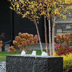 Blue Thumb Triple Drilled Yasuyuki Fountain ABZ200