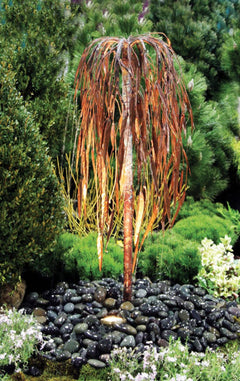 Blue Thumb Weeping Willow - Complete Kit ABCF050K Weeping Willow