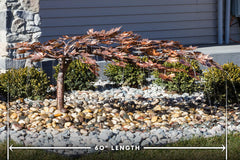 Blue Thumb Creeping Japanese Maple - Complete Kit ABCF500K