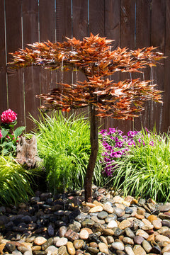 Blue Thumb Japanese Maple Tree - Complete Kit ABCF400K