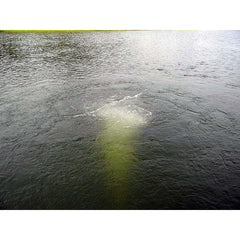 Scott Aerator 1/4 HP Bubble Pro Sub-Surface Aerator 44010