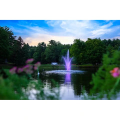 Scott Aerator Color Changing LED Lighting 13650